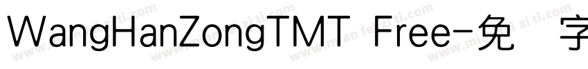 WangHanZongTMT Free字体转换